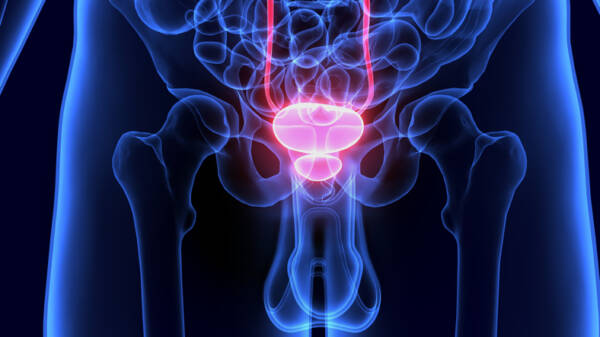 Prostate Health Support - Image 2